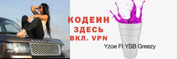 ГАЛЛЮЦИНОГЕННЫЕ ГРИБЫ Вязьма