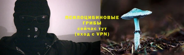 твердый Пестово