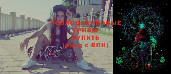 прущий лед Осташков