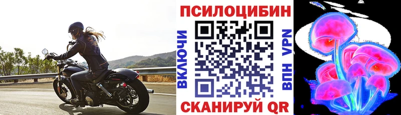 Псилоцибиновые грибы мицелий  MEGA зеркало  Берёзовка  купить закладку 