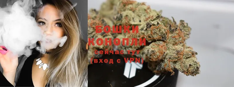 купить наркотики цена  Берёзовка  Бошки Шишки OG Kush 